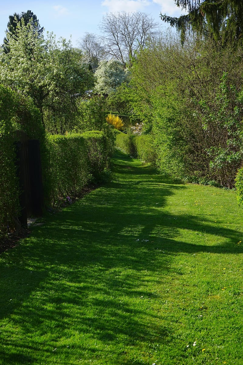 Local Allotments